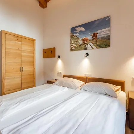 Apartamento Tauern Mitterwirt 224 - Penthouse Maiskogel-view